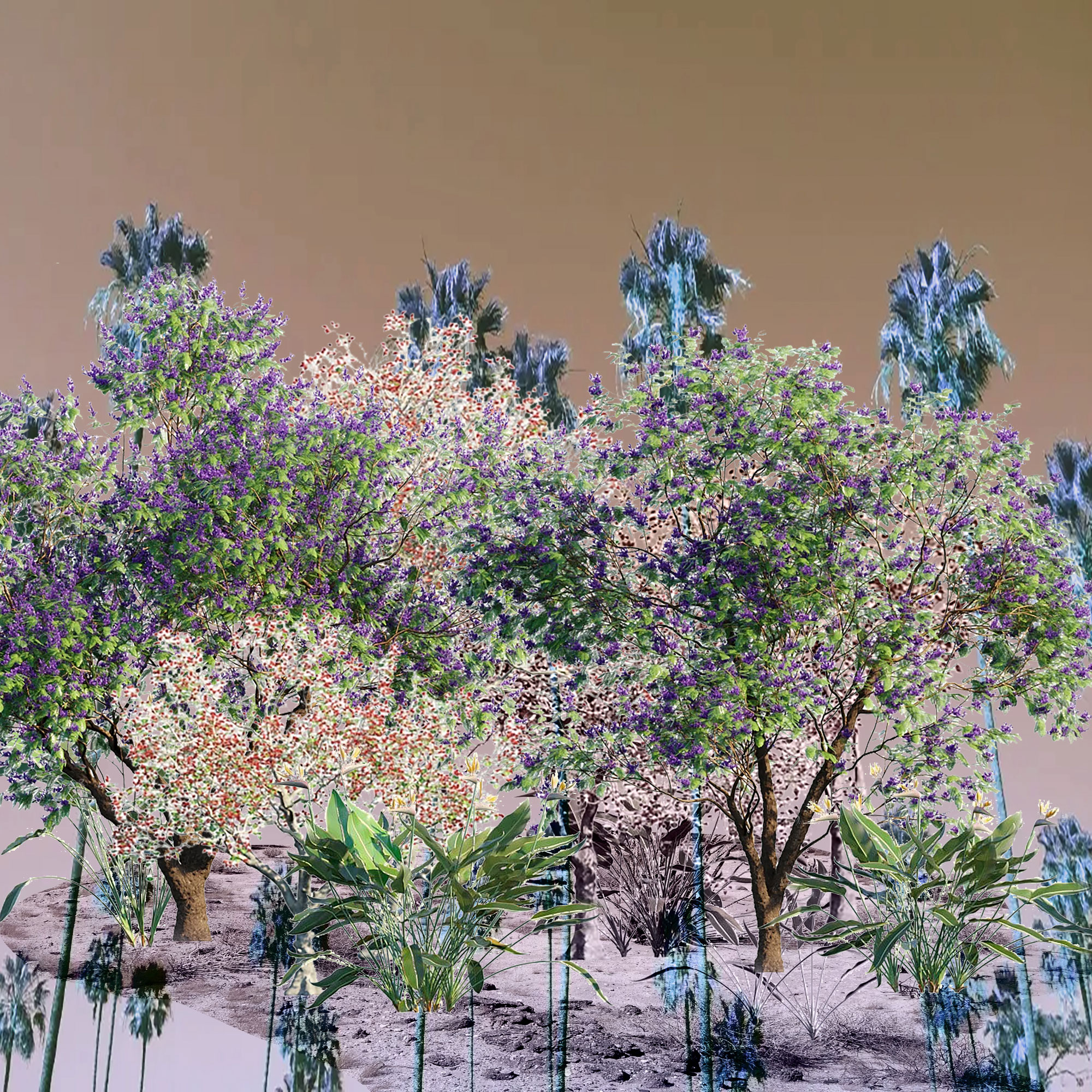 Nico King, »Post-Oasis« (Balboa Park, v.1), 2021-22, Digital Collage
